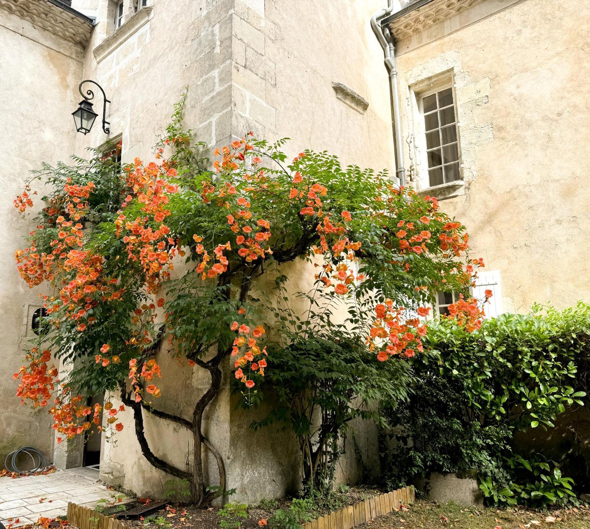Saint-Astier Domaine Labattut住宿加早餐旅馆 外观 照片