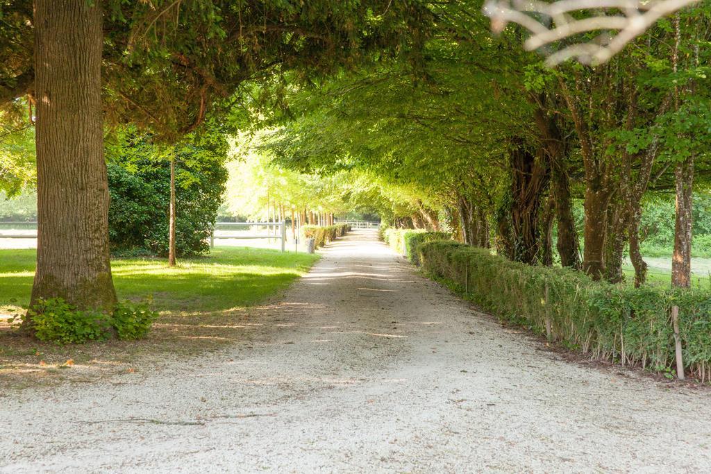 Saint-Astier Domaine Labattut住宿加早餐旅馆 外观 照片